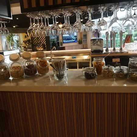 Hotel Western Ferrand Centre 4*