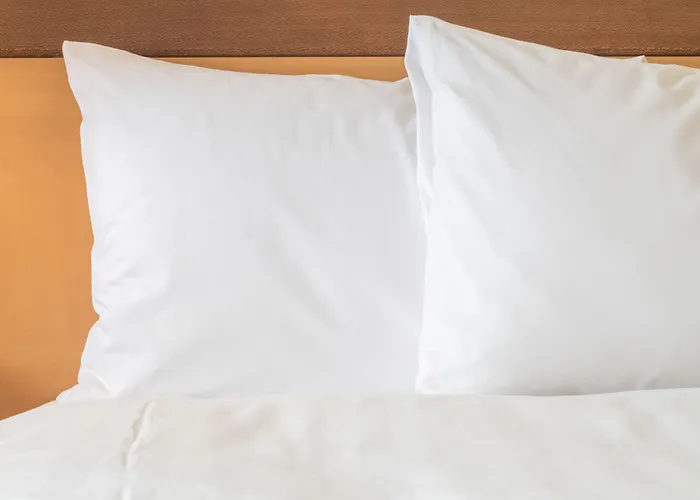 Ferrand Centre By Ihg كليرمونت-فيراند